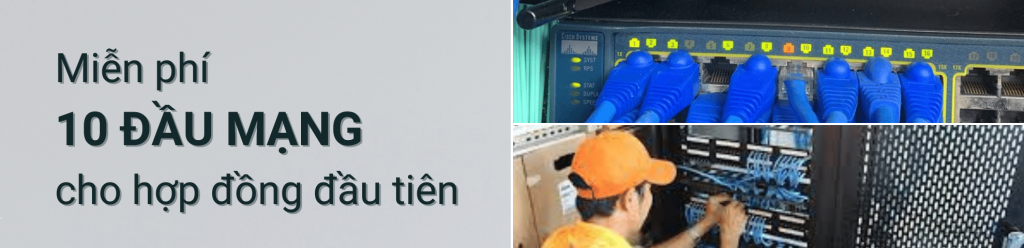 Mien Phi 10 Dau Mang Cho Hop Dong Dau Tien